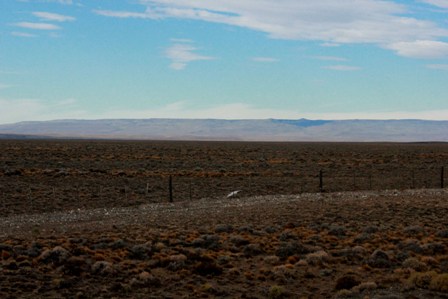 Patagonian steppe