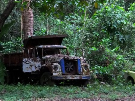 Abandonned truck. Indiana Jones was here?