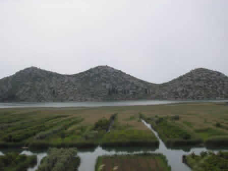 The landscape on the road
