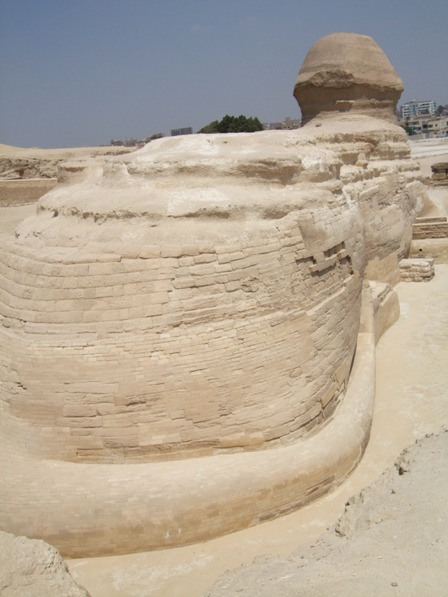 The Sphynx