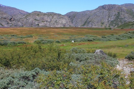 Ready for a day hike out of Narsarsuaq