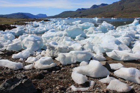 The iceberg beach of Sermilik Fjord