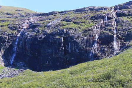 Tree waterfalls rom the flower valley
