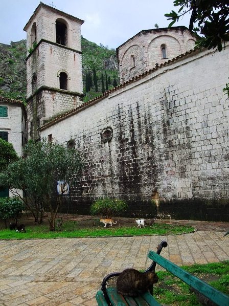 Mountains and the town of Kotor in Montenegro