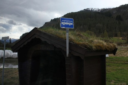 The bus stop