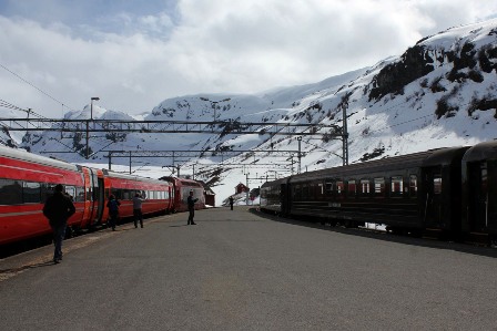 Out two trains at Myrdal Station